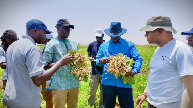 Commercialisation des produits agricoles : un dispositif pour anticiper les retards de préparation