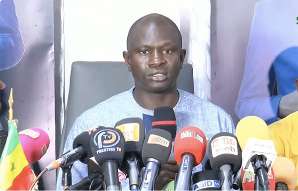 Thiès : le maire Babacar Diop lance un programme de renouvellement des caïlcédrats