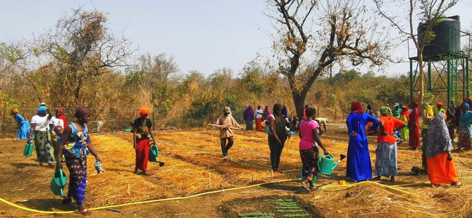 Tomboronkoto : la population face au dilemme de la relocalisation pour l'exploitation aurifère