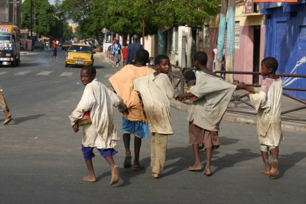 Retrait des enfants des rues : Les inquiétudes de Serigne Fallou Mbacké