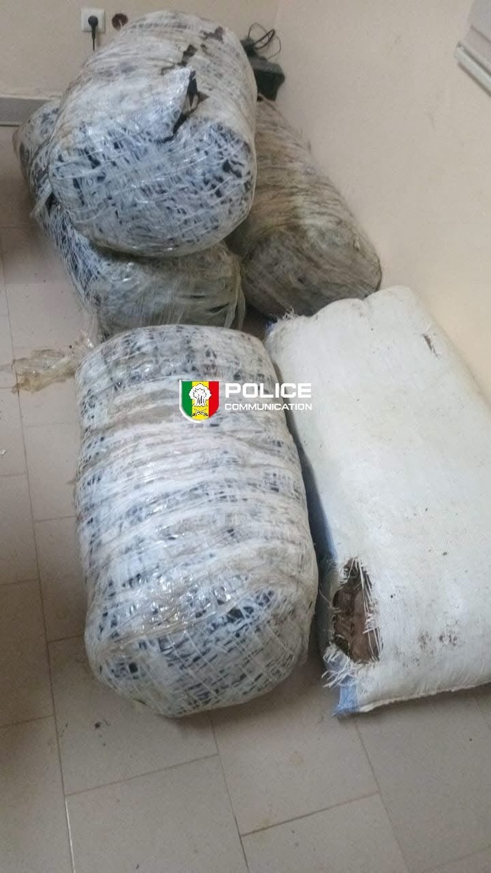 160,75 kg de chanvre indien saisis, les trafiquants en fuite