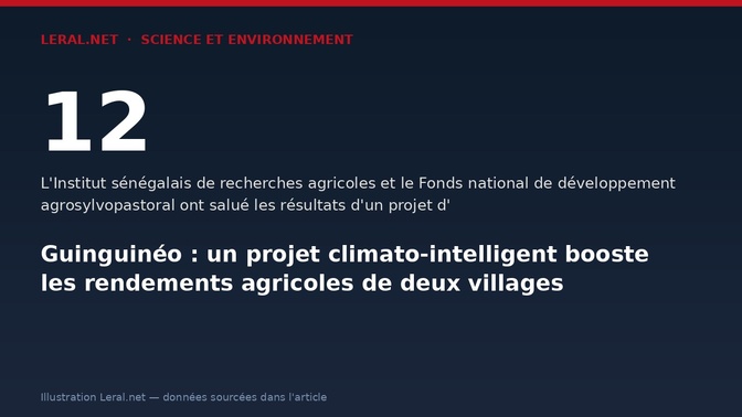 Guinguinéo : un projet climato-intelligent booste les rendements agricoles de deux villages