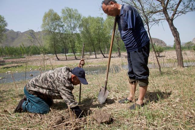 Deux Chinois plantent une forêt malgré leur handicap