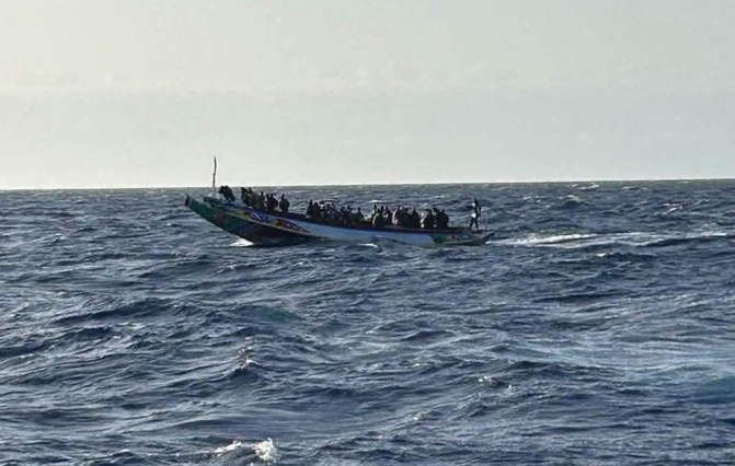 Route des Canaries : 194 migrants disparus en mer, dont 24 Sénégalais