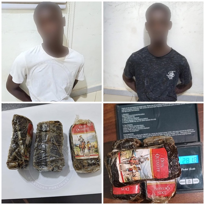 281,8 grammes de drogue saisis : deux individus interpellés par la gendarmerie