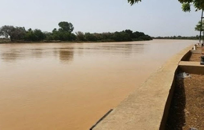 Crue du fleuve Sénégal : Podor et Richard-Toll proches de leurs seuils d’alerte