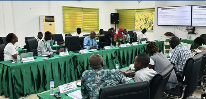 Saint-Louis : AfricaRice forme 26 techniciens de 13 pays à la production de semences de qualité