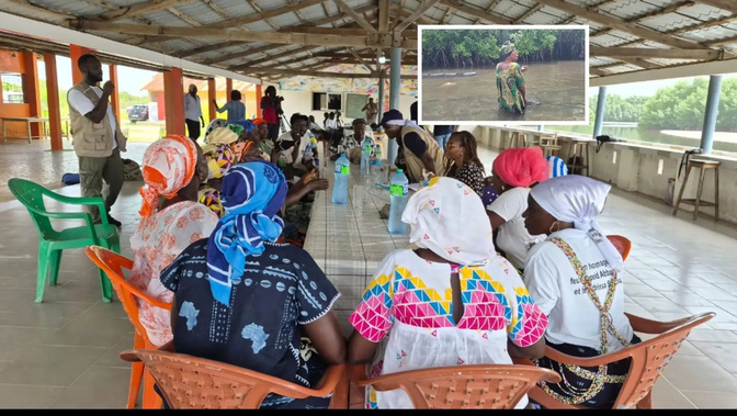 Ourong : la FAO accompagne les femmes du GIE SOTIBA dans la manipulation sécurisée des huîtres
