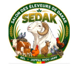 SEDAK 2026 : le mouton Ladoum à l’honneur et les éleveurs de Dakar appelés à s’unir