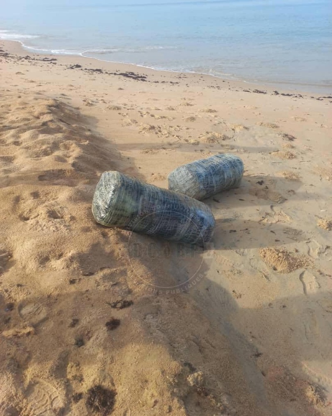 Nianing : la gendarmerie saisit 205 kg de chanvre indien sur une plage