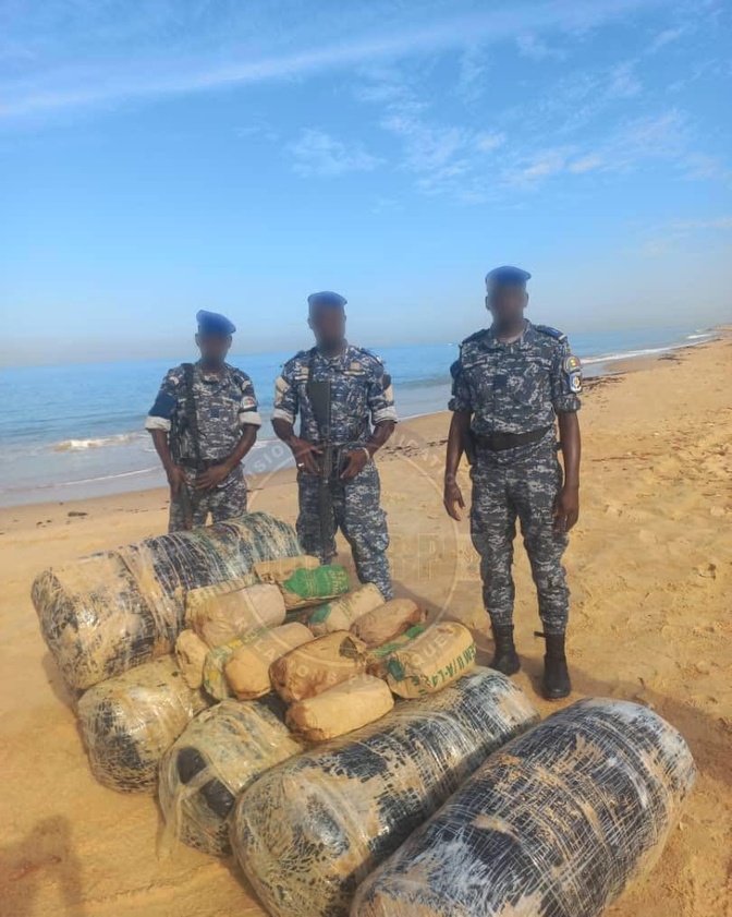 Nianing : la gendarmerie saisit 205 kg de chanvre indien sur une plage