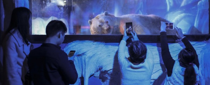 En Chine, un centre commercial exhibe des animaux dans des conditions de détention scandaleuses.