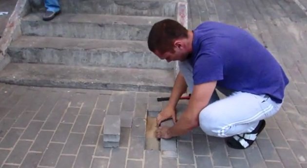 Un homme sauve la vie d'une chienne enterrée vivante
