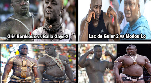 Lutte: Lac 2 vs Modou Lo, Gris vs Balla Gaye 2, Eumeu vs Bombardier… : ces chocs qui s’imposent pour la saison prochaine