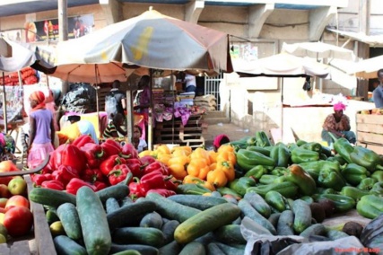 Castors : Les prix des légumes flambent