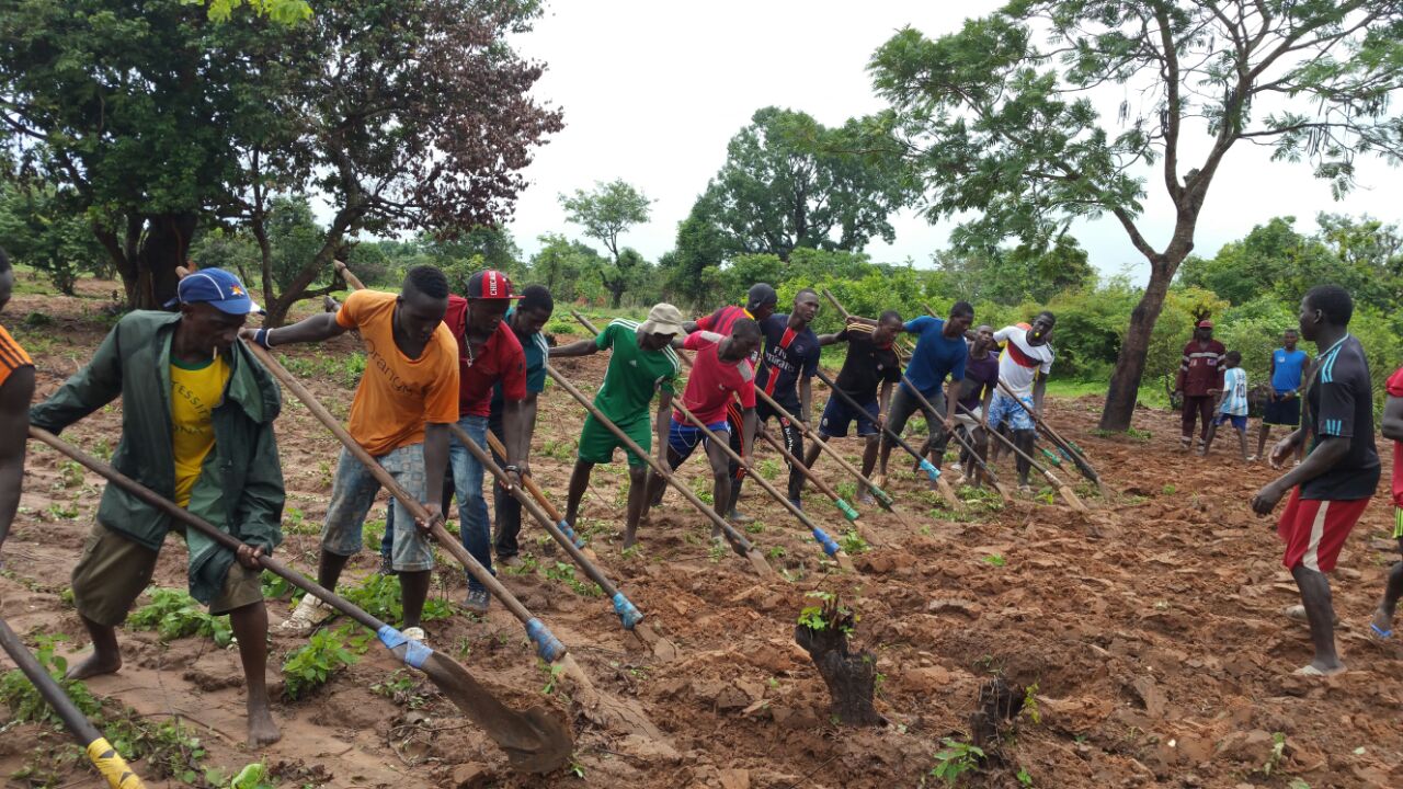 Bignona : Le président Mamina Kamara et Mamadou Lamine Keïta deviennent des "cultivateurs"