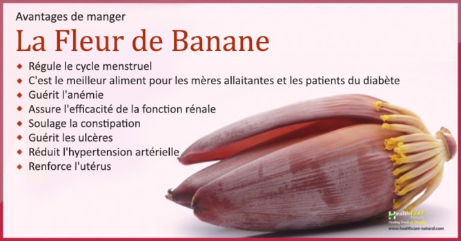 Avantages pour la santé de manger la fleur de banane