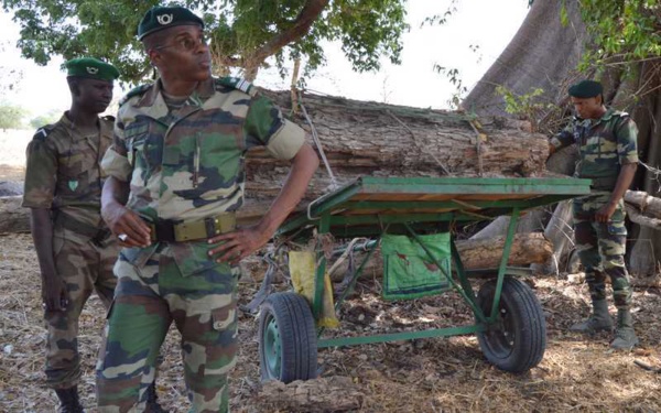 Trois officiers des Eaux et Forêts du Sénégal arrêtés par la police Gambienne 