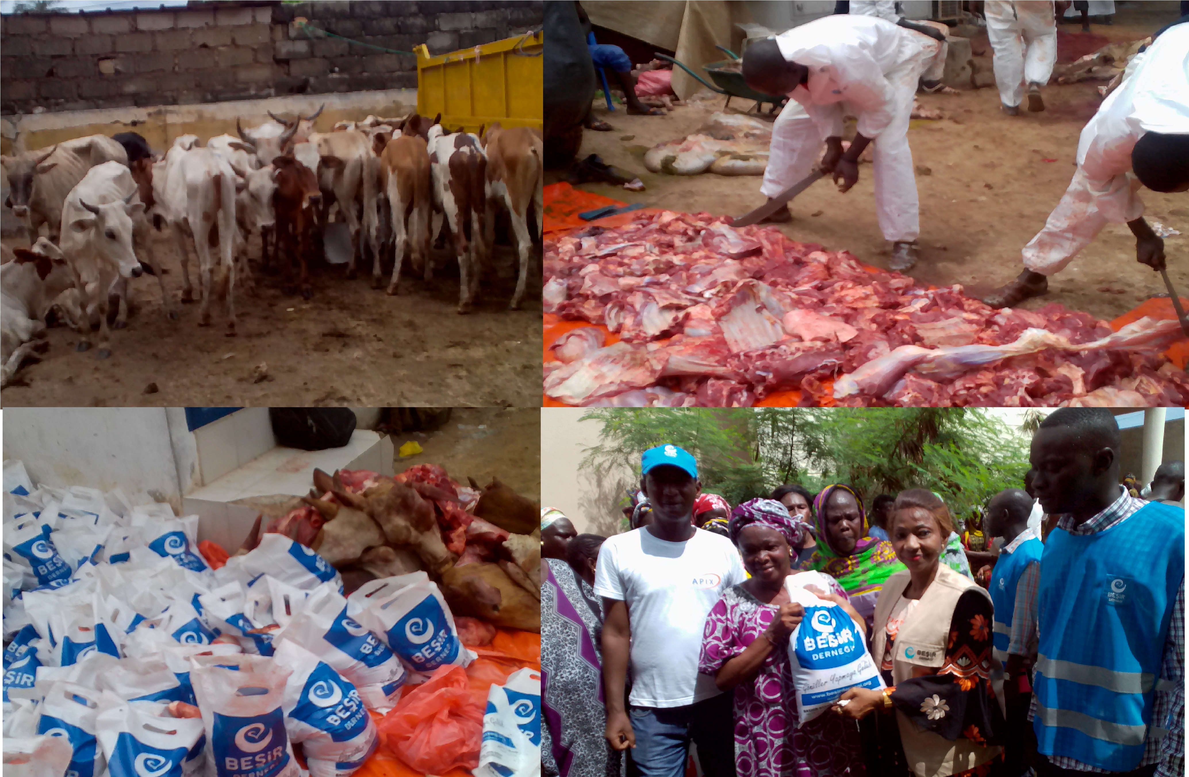 Tabaski à Tivaouane Diack-Sao :  55 bœufs et des enveloppes distribués aux familles démunies