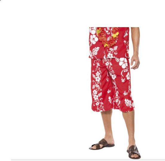 Un multirécidiviste se présente à son procès en short hawaïen et claquettes