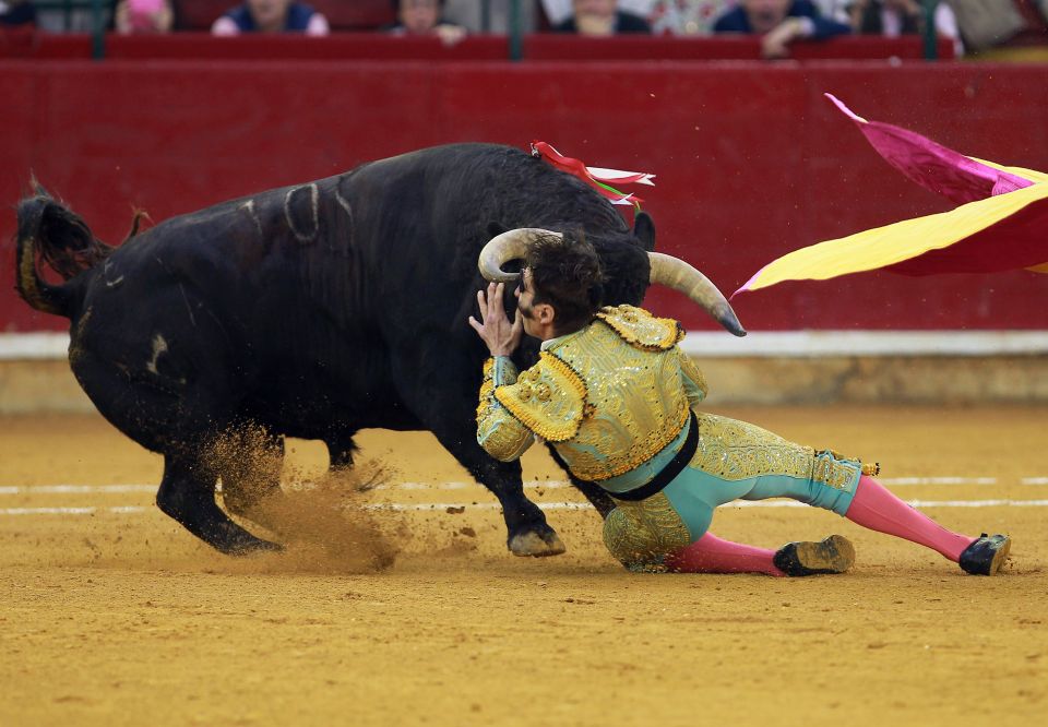 ​Insolite : Le matador encore encorné au même oeil par un taureau de 600 kg, 5 ans après