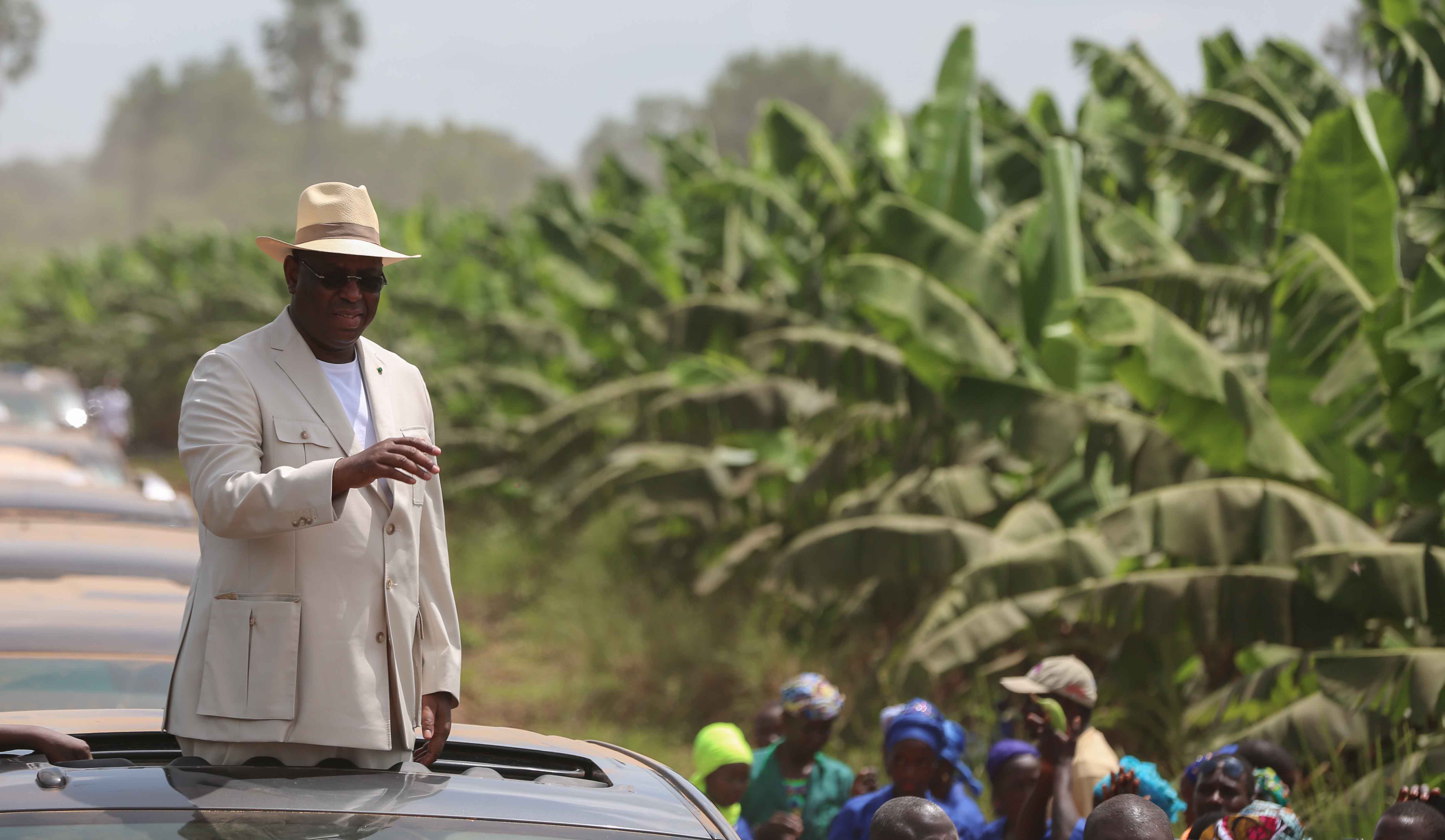 Photos : Visite du Président Macky Sall dans les plantations de banane (200 ha) de Mamadou Sall et de CORPROBAT á Laboya (Tambacounda)