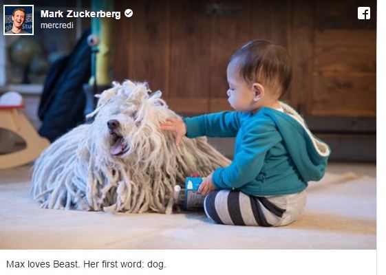 Max Zuckerberg et Beast le chien de la famille