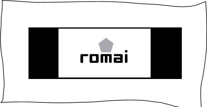 Romai Sports, le nouvel équipementier des Lions.  les Emirats vont habiller les équipes nationales du Sénégal