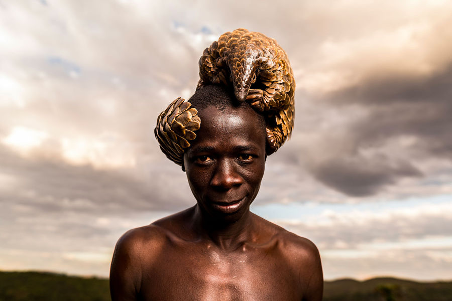 Photos : Le Zimbabwéen Tikki Hywood Trust, l’homme qui aime les pangolins comme ses propres enfants