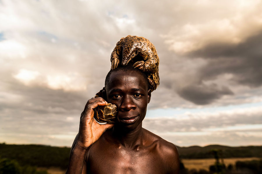 Photos : Le Zimbabwéen Tikki Hywood Trust, l’homme qui aime les pangolins comme ses propres enfants