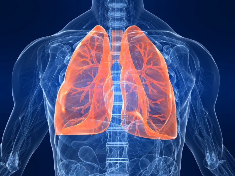 Ce jeudi 16 novembre- 2 journées mondiales:  la journée mondiale contre les Broncho-Pneumopathies Chroniques Obstructives et la Journée Internationale de la Tolérance