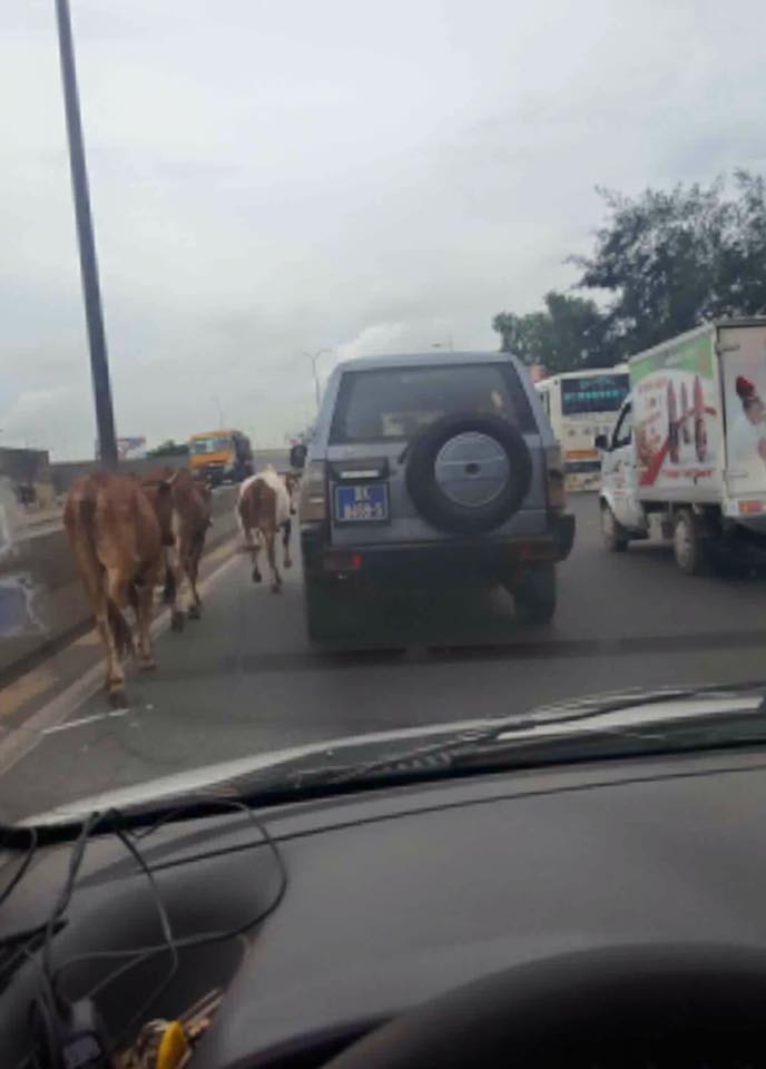 Ces images qui illustrent le mauvais comportement des conducteurs et usagers de la route au Sénégal
