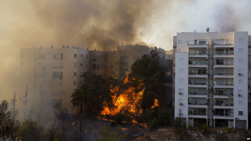 Les feux de végétation ravagent à Haïfa, Israël, 24 novembre 2016.