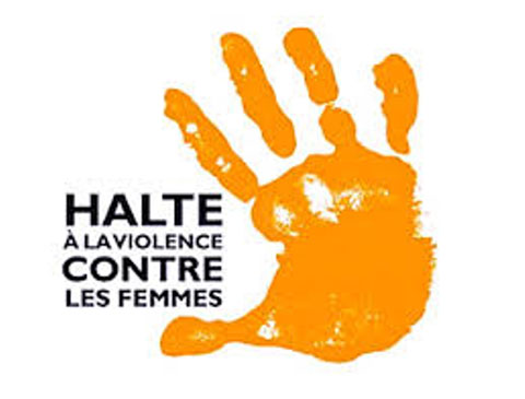 Ce 25 novembre, 3 journées mondiales: journée Internationale pour l'élimination de la violence à l'égard des femmes, la journée mondiale anti-foie gras et la journée mondiale du jeu vidéo 