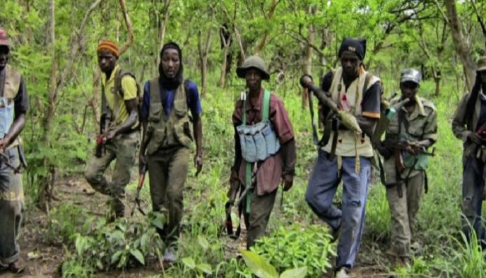 Les rebelles posent des conditions à l' Etat su Sénégal