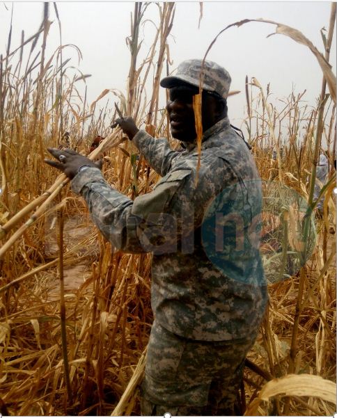 Vidéo: Samuel Sarr, le fervent disciple de Serigne Saliou Mbacké (rta) a encore cette année fait le plein aux champs de Lagane (images)