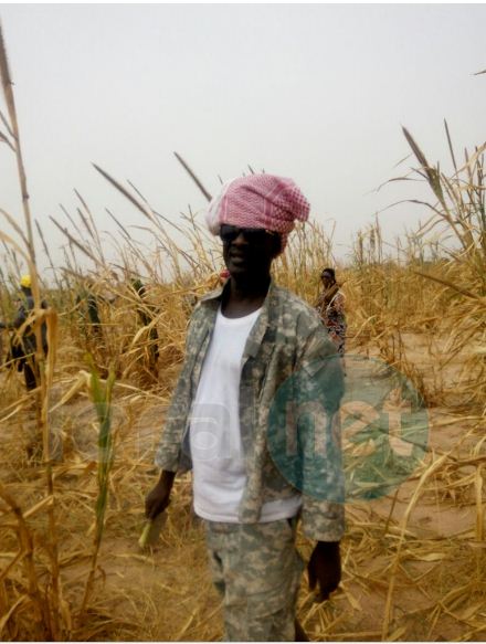 Vidéo: Samuel Sarr, le fervent disciple de Serigne Saliou Mbacké (rta) a encore cette année fait le plein aux champs de Lagane (images)
