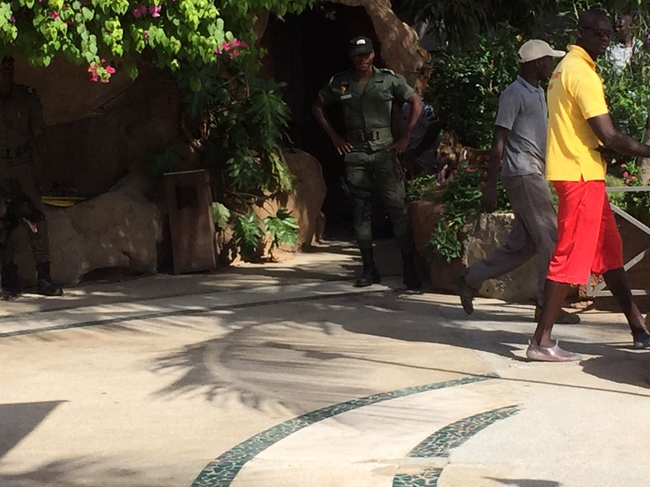 Point de presse du porte-parole d'Adama Barrow à Dakar cet après-midi : Sécurité maximale avec des chiens "policiers", les journalistes fouillés