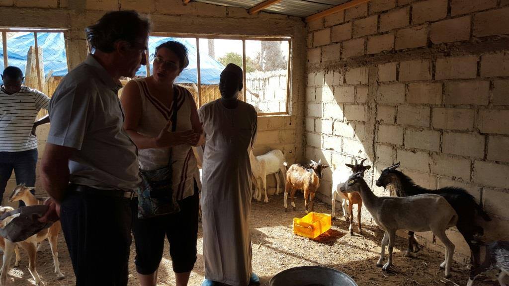 Photos: SEM Christophe Bigot, ambassadeur de la France au Sénégal, visite de terrain à Diofior, Fatick et Nianing-Saly