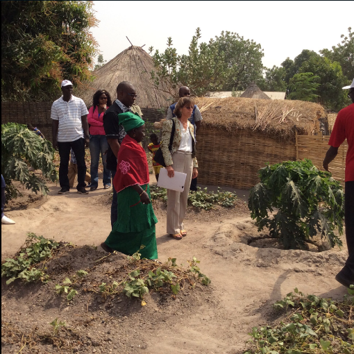 Photos: Son Excellence Lise Filiatrault, ambassadrice du Canada au Sénégal en visite de travail en Casamance dans les champs de production d'anacarde