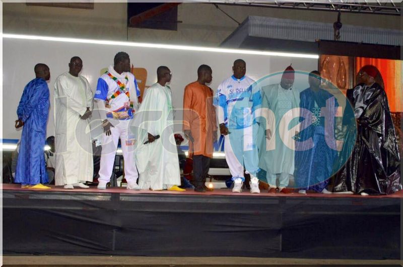 L'artiste Papa Diouf et les lutteurs: Boye Niang, Gouy Gui, Khadim Ndiaye et Lac de Guier sur scène en quelques clichés