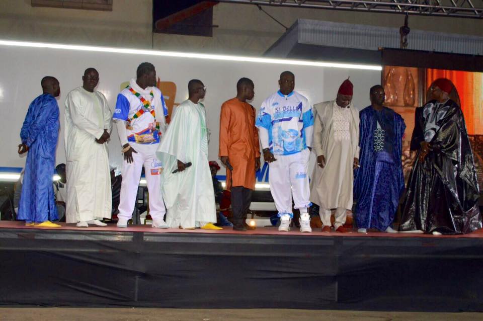 L'artiste Papa Diouf et les lutteurs: Boye Niang, Gouy Gui, Khadim Ndiaye et Lac de Guier sur scène en quelques clichés