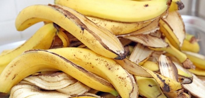 Santé: Découvrez quelques bienfaits des peaux de banane