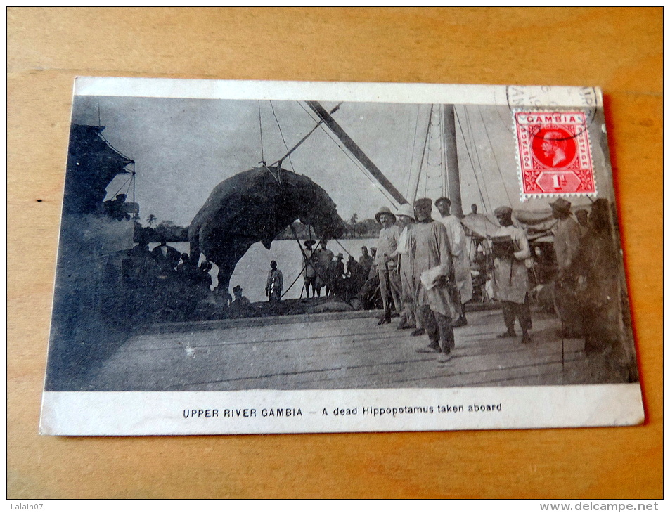Photos: Carte postale Ancienne : GAMBIE