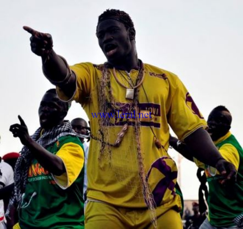 Boy Niang  2 veut déraciner le Baobab:" Face à Gouye Gui, je suis prêt à y laisser ma vie "