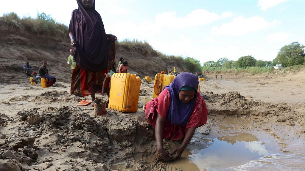 Somalie: 110 personnes mortes de faim ces dernières 48 heures (gouvernement)