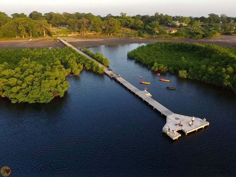 (Images) La mangrove de palétuviers du delta du Saloum