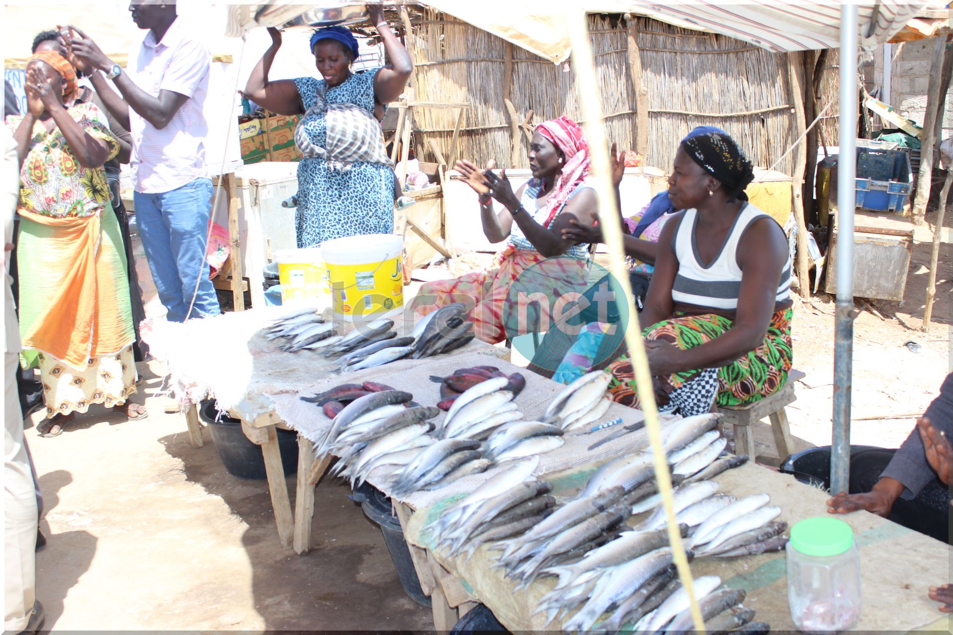 Photos: le Ministre de la Pêche et de l'Economie Maritime, Oumar Guèye à Missira