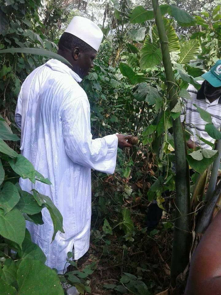 Images- Yahya Jammeh fait sa première apparition publique en Guinée équatoriale