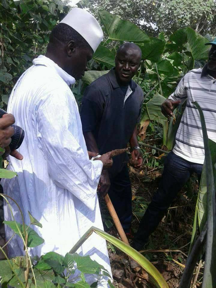 Images- Yahya Jammeh fait sa première apparition publique en Guinée équatoriale